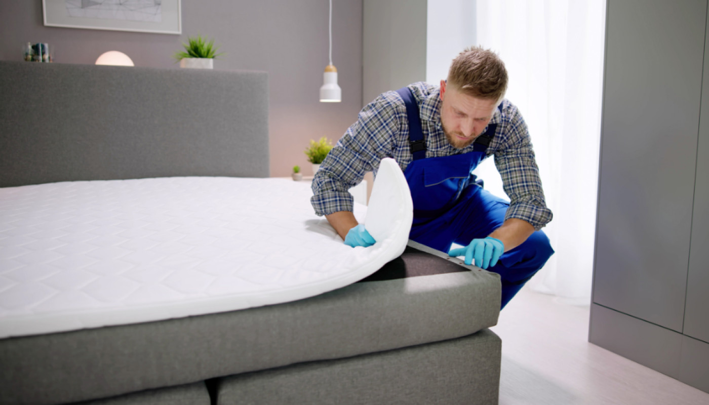 Top 3 des sociétés de lutte contre les punaises de lit à Marseille en 2026